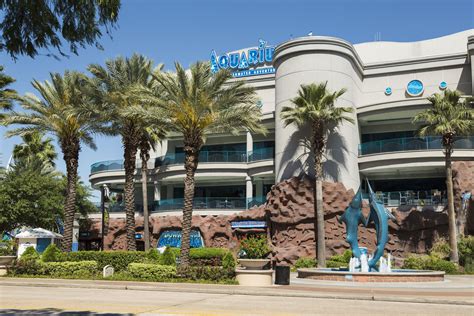 Downtown aquarium houston - Experience a variety of exhibits, rides and attractions at the Downtown Aquarium, from sharks and white tigers to a Ferris wheel and a …